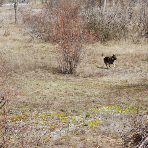 Campi Scuola (19.03.2013) n. 9 / 92569