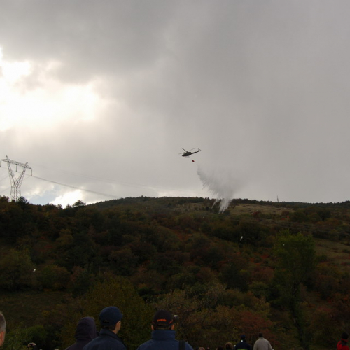 Foto TRSTELJ 07 n. 21 / 18239