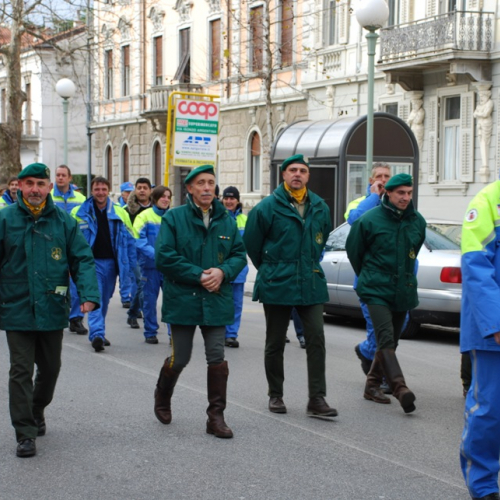 XI^ giornata del volontariato n. 74 / 33478