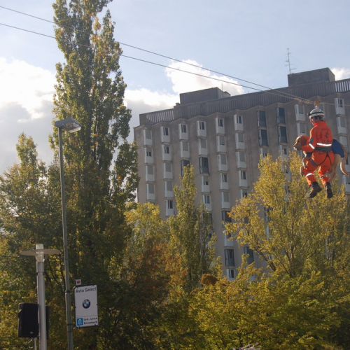 foto 19/10 n. 15 / 18032