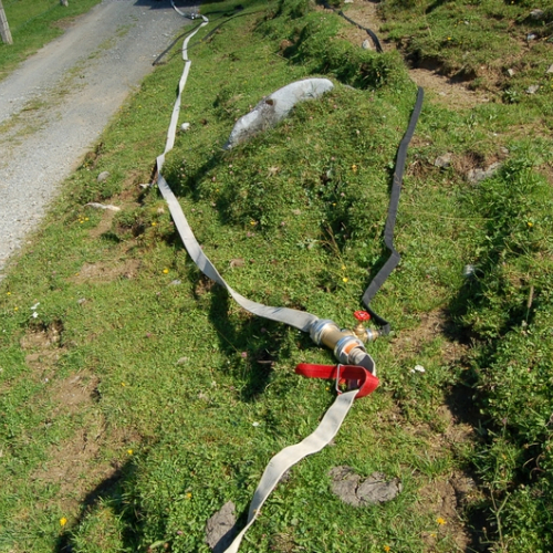 Foto 58 / 116817
