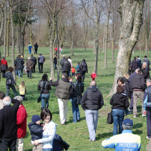 Attivit‡ supporto 27/03 n. 7 / 49948