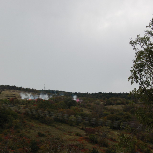 Foto TRSTELJ 07 n. 26 / 18244