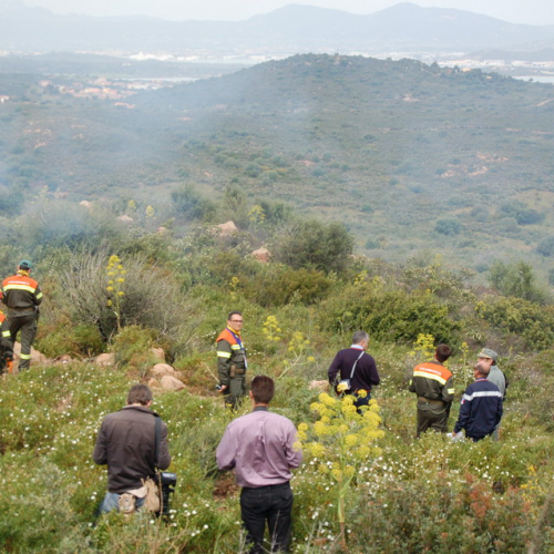 Foto esercitazione n. 31 / 22743