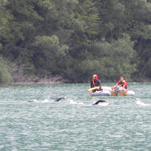 Attivit‡ di supporto a Triathlon dall'acqua al cielo" n. 22""ttivit‡ di supporto a Tria" / 68939