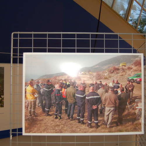 Incontro nell'ambito del Progetto n. 15-2-3-IT ALPF FIRS n. 2 / 87794