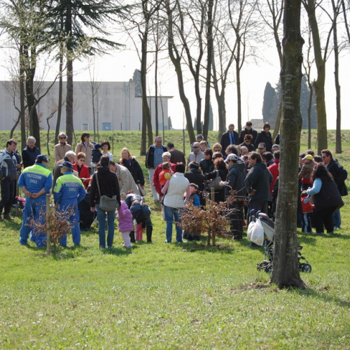 Attivit‡ supporto 27/03 n. 9 / 49950