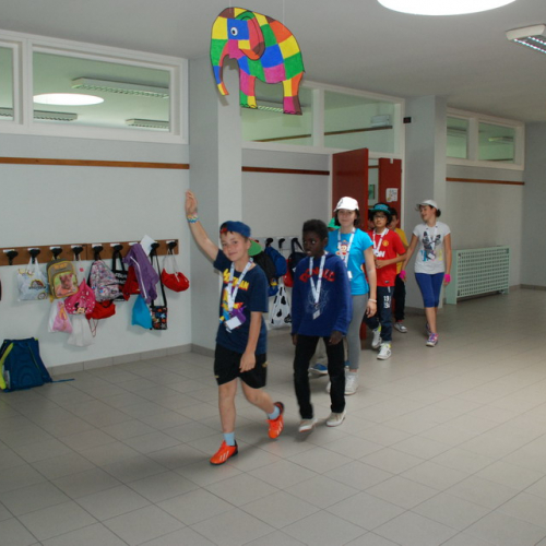 Attivit‡ formazione/divulgazione presso scuola Colugna n. 35 / 109906