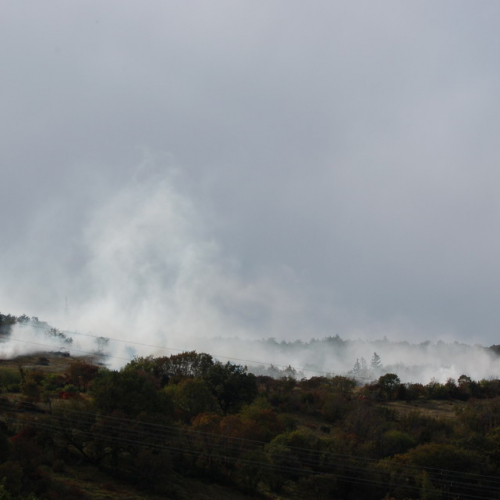 Foto TRSTELJ 07 n. 29 / 18247