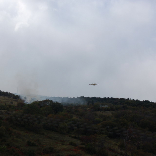 Foto TRSTELJ 07 n. 30 / 18248