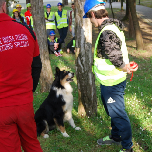 Terza Sessione Campi scuola (11.04.14) n. 4 / 109089