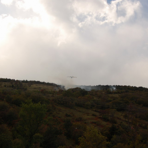 Foto TRSTELJ 07 n. 31 / 18249