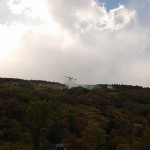 Foto TRSTELJ 07 n. 32 / 18250