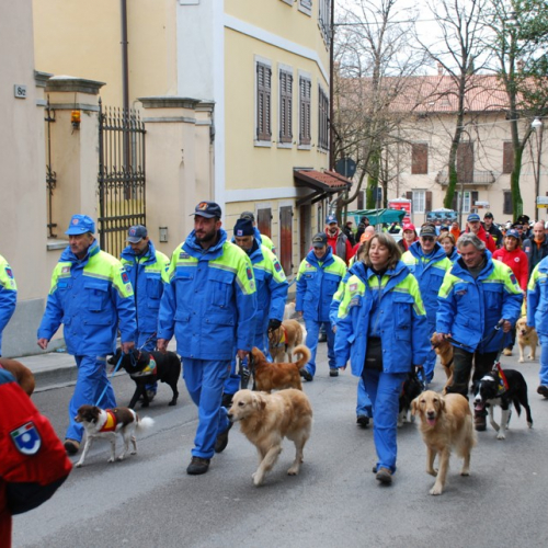 XI^ giornata del volontariato n. 82 / 33486