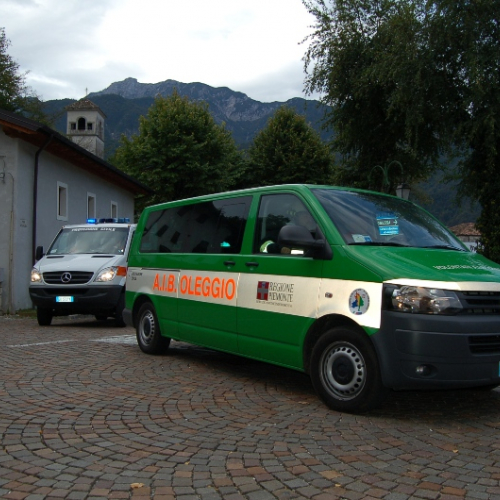 DSC_0196.JPG / 114551