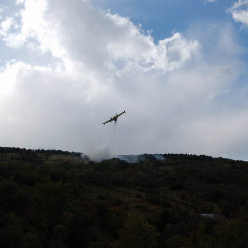 Foto TRSTELJ 07 n. 33 / 18251