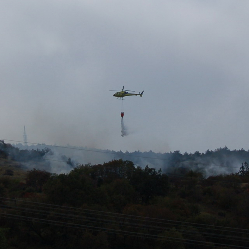 Foto TRSTELJ 07 n. 36 / 18254