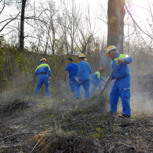 intervento Fiume Meduna Ponte Strada Statale 13 n. 7 / 78431