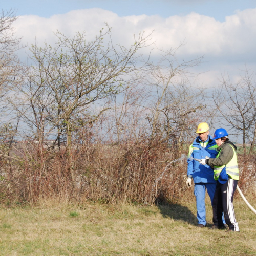 Campi Scuola (19.03.2013) n. 25 / 92585