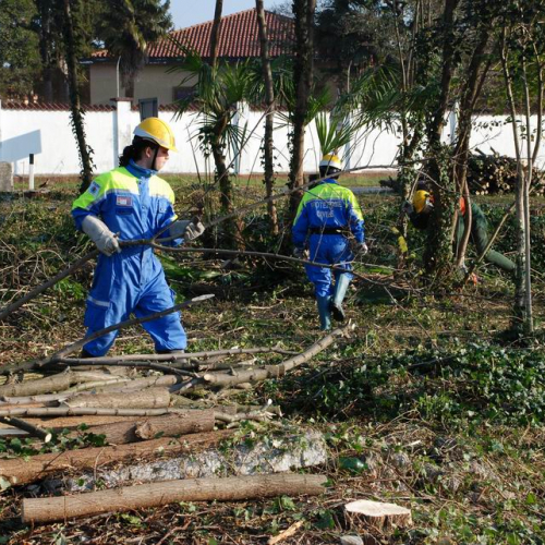 Esercitazione 19/11 n. 27 / 72901
