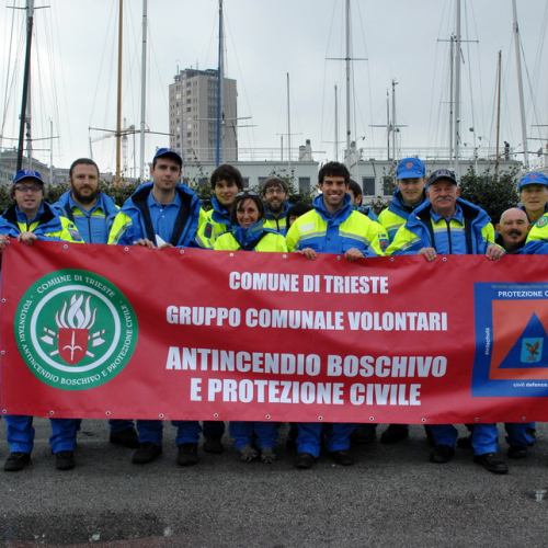 Volontari durante ammassamento n. 17 / 73607