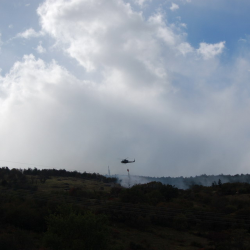 Foto TRSTELJ 07 n. 37 / 18255