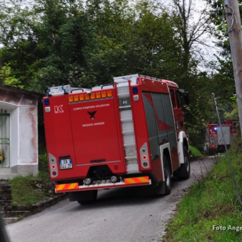 DSC_0204.JPG / 114550