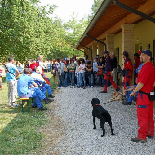 Ruda foto 57: illustrazione attivit‡ cani di protezione civile / 10631