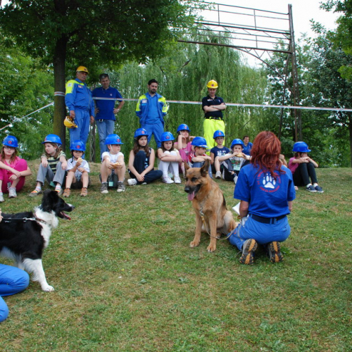 SicurUdine 2011 n. 84 / 65665