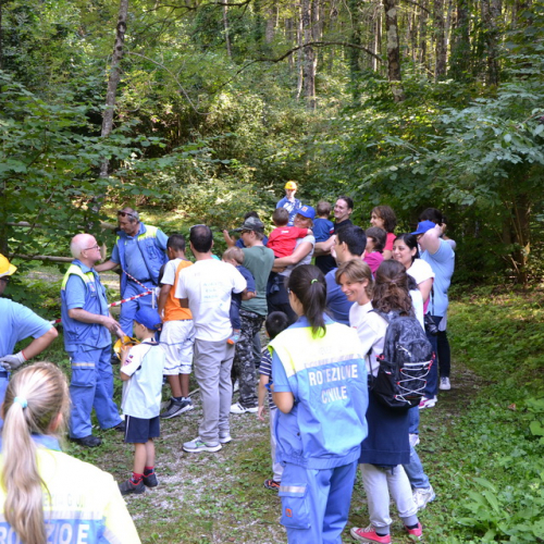 Attivit‡ del 01/09 n. 25 / 98891