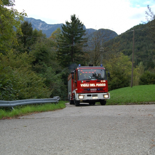 DSC_0205.JPG / 114557