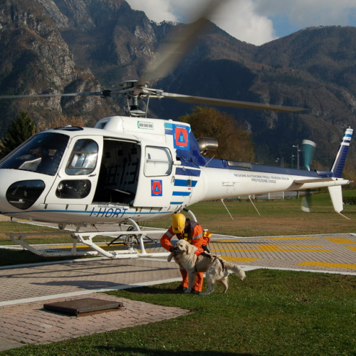 Corso Tolmezzo mattina 09/11n. 43 / 32105