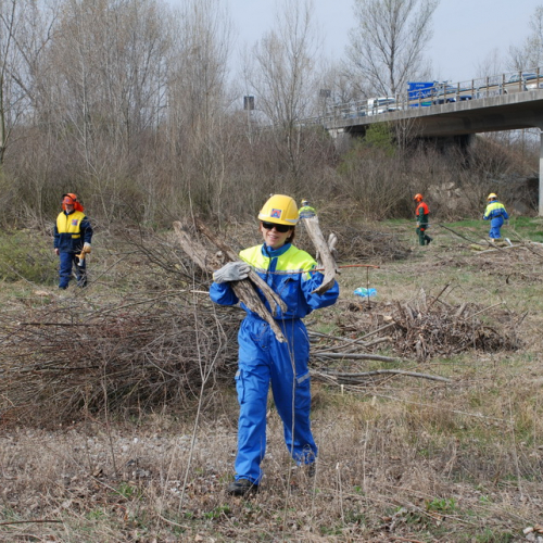 Intervento alveo Torre nelle vicinanze dell'abitato di Salt n. 58 / 78732