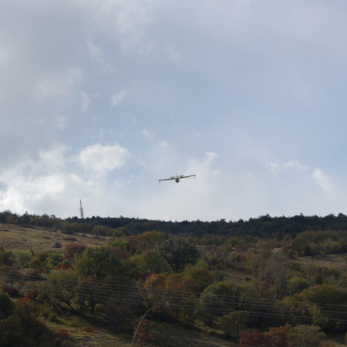 Foto TRSTELJ 07 n. 39 / 18257