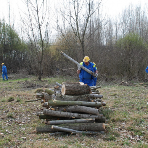 Intervento alveo Torre nelle vicinanze dell'abitato di Salt n. 59 / 78733