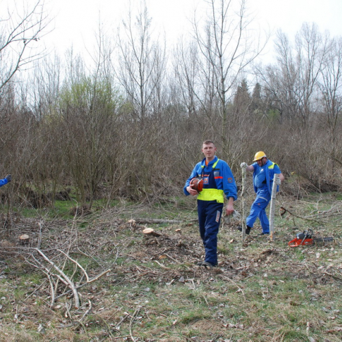 Intervento alveo Torre nelle vicinanze dell'abitato di Salt n. 60 / 78734