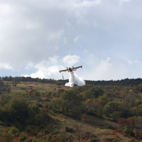 Foto TRSTELJ 07 n. 41 / 18259