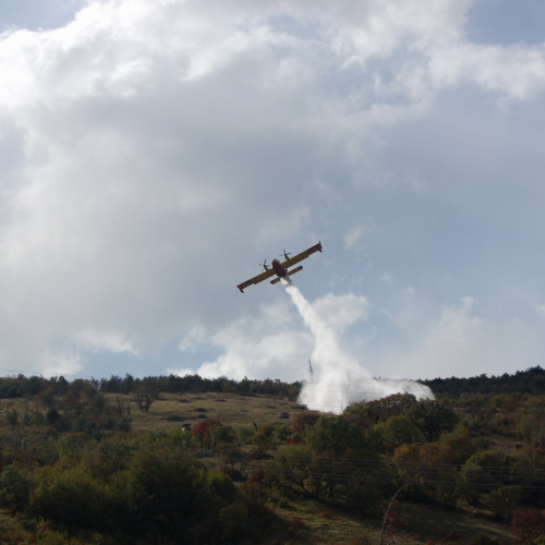 Foto TRSTELJ 07 n. 42 / 18260