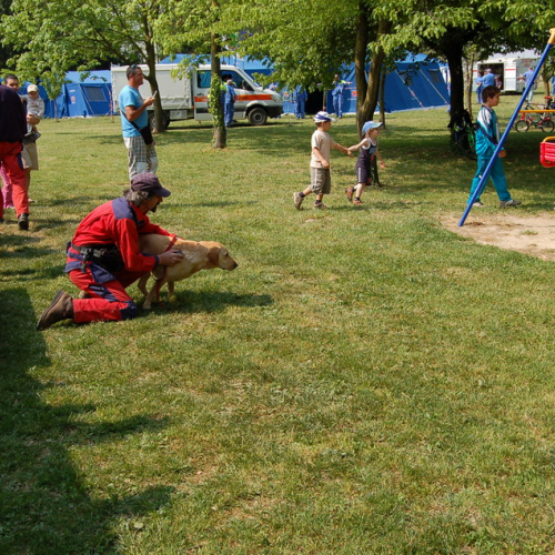 Ruda foto 58: illustrazione attivit‡ cani di protezione civile / 10632