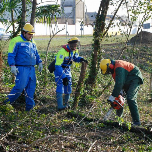 Esercitazione 19/11 n. 29 / 72903