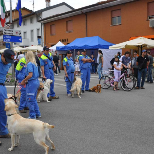attivit‡ di sensibilizzazione nell'ambito di Pozzuolo Ri-fiorisce" n. 9""ttivit‡ di sensibilizzazio" / 68306