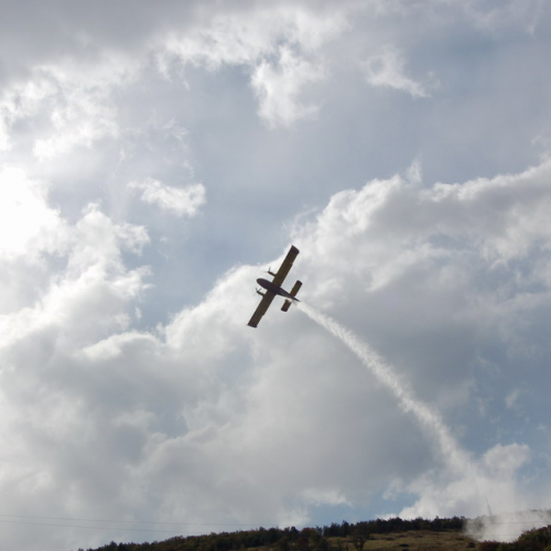 Foto TRSTELJ 07 n. 44 / 18262