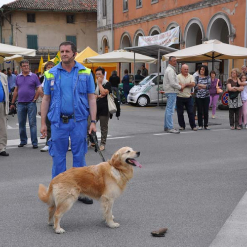 attivit‡ di sensibilizzazione nell'ambito di Pozzuolo Ri-fiorisce" n. 10""ttivit‡ di sensibilizzazion" / 68307