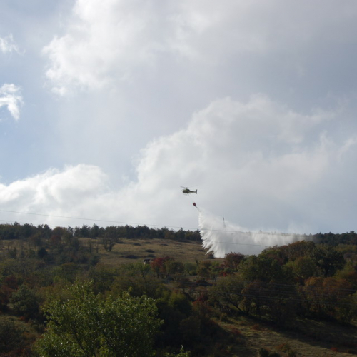 Foto TRSTELJ 07 n. 46 / 18264