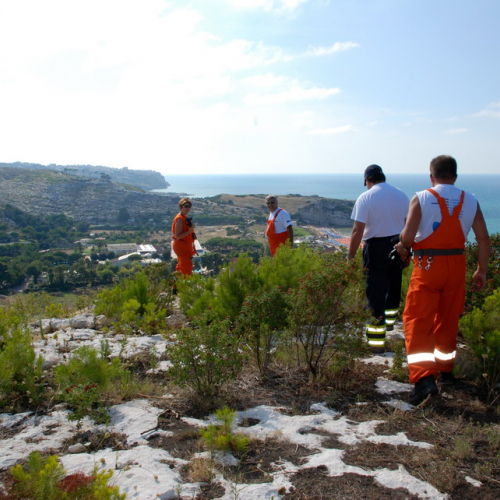 5∞ turno Puglia 2011 n. 6 / 69521