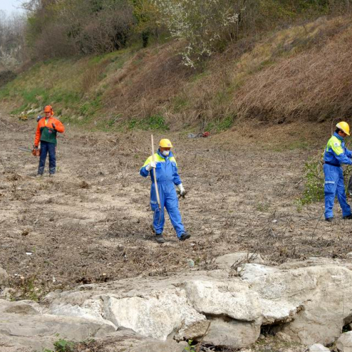 Alvei Puliti 2012 n. 60 / 78261