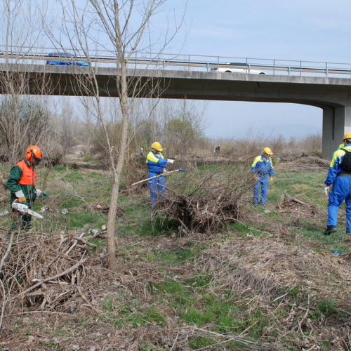 Intervento alveo Torre nelle vicinanze dell'abitato di Salt n. 64 / 78738