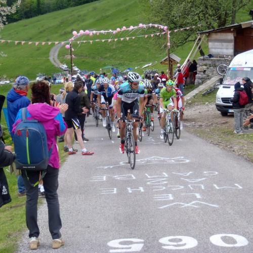 Autorit‡ 10™ tappa Giro d'Italia 2013 n. 33 / 95178