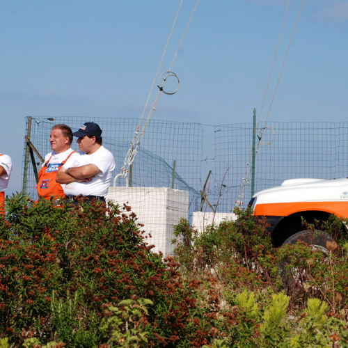 5∞ turno Puglia 2011 n. 8 / 69523