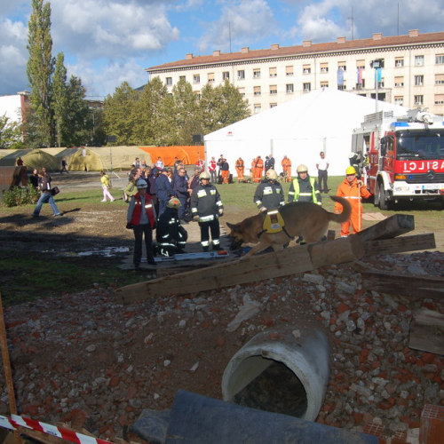 foto 19/10 n. 27 / 18044